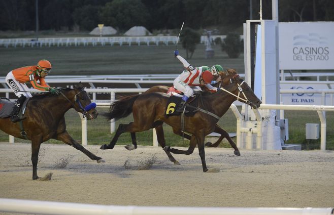 cerro largo turf (1).jpg