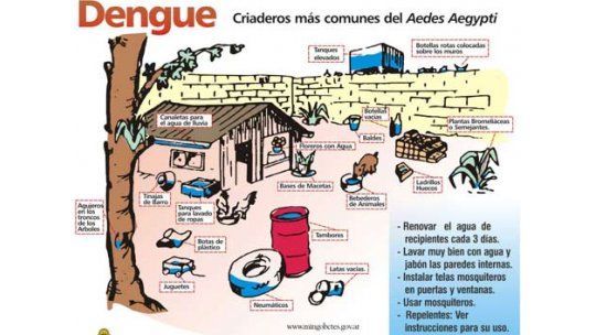 Alerta oficial por epidemia de dengue; exigen plan a mutualistas