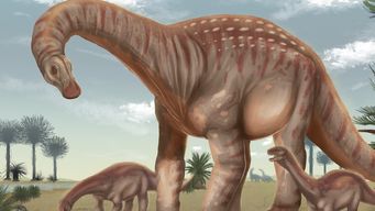mesetasaurus protector: el dinosaurio uruguayo cuyos fosiles aparecieron en paysandu
