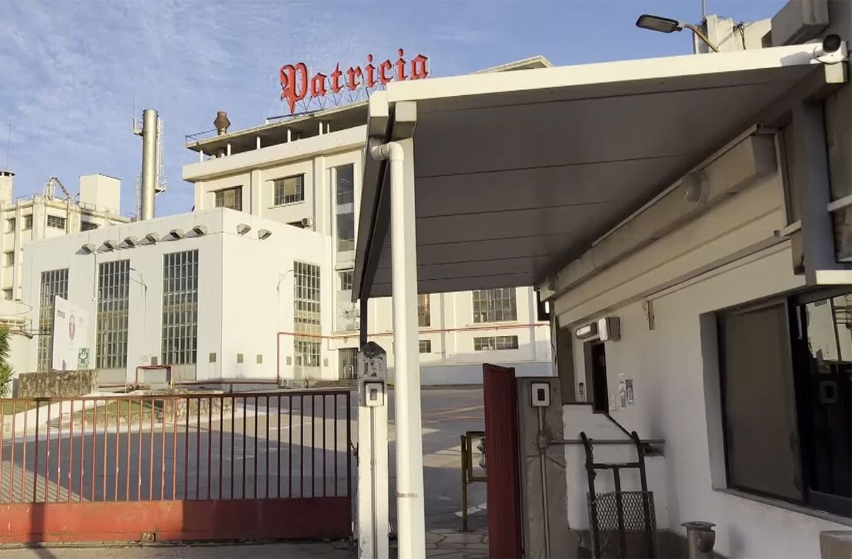 FNC envía al seguro de paro a todos los trabajadores de la planta de Minas y el sindicato se declara en conflicto