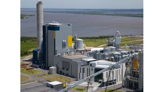 Dinama: “UPM debe ser la planta más controlada del mundo”