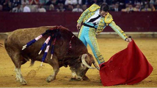 CORRIDAS DE TOROS