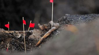 Foto: FocoUy. Restos hallados en Batallón 13, 28 de agosto de 2019.