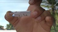 Confirman 12 nuevos casos de dengue autóctono y 3 importados; hay 114 contagios de la enfermedad en el país