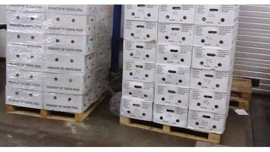 Cocaína puerto de Róterdam AFP