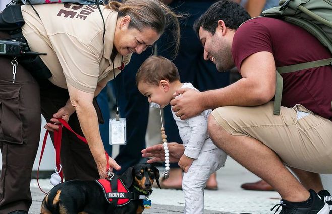 Miembros de las fuerzas de seguridad de Israel, especialistas en rescates, trabajan en la ayuda de situaciones traumáticas de Surfside, 