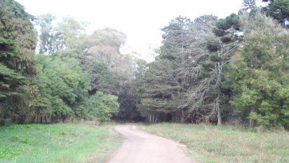 Foto: Intendencia de Canelones