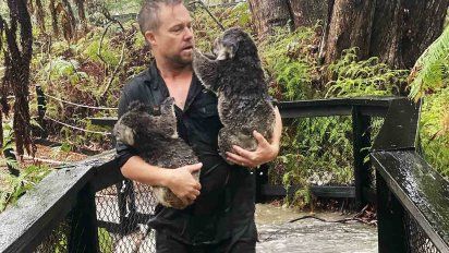 la lluvia en australia ayuda a los bomberos pero no apaga todos los incendios