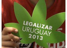 Regulación del cannabis: en el FA no saben qué hará Darío Pérez