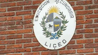 en una semana secundaria asigno el 56% de las horas docentes elegibles