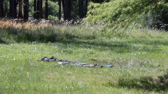imputaron al joven que golpeo y quemo a un hombre en el parque rivera de melo