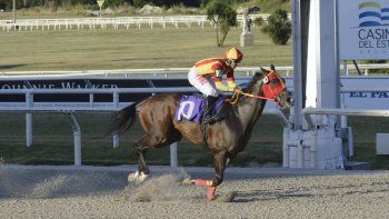 Subrayado | MICRO TURF 9 D DIC NUEVO