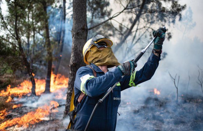 Foto: FocoUy. Bomberos, incendio forestal.