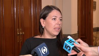 bettiana diaz califico de poco serio y apresurado cuestionamiento de la oposicion al plan de seguridad