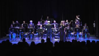 intendencia de san jose no prohibira ni impondra el tema musical azuquita pal cafe