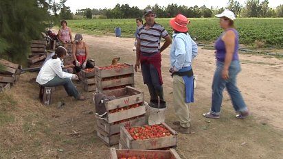 aumenta 7% en promedio el salario de los trabajadores del sector rural