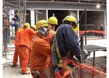 Fin de huelga y ocupación en Montes del Plata tras acuerdo