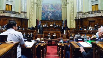 asamblea general ratifico el veto de lacalle a ley forestal de cabildo