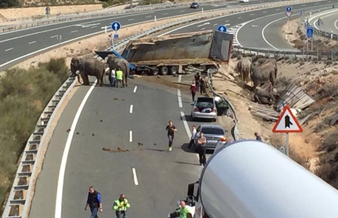 Lugar del accidente. Foto: Gregorio Serrano, director general de Tráfico del Ministerio del Interior de España/Twitter.