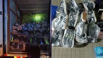 camiones, un auto, plantas y perfumes incautados por aduanas en rivera: decomiso valuado en $5.000.000
