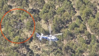 Foto: Fuerza Aérea. Avión accidentado en un monte en Guazuvirá, Canelones.