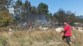 sindicato denuncia falta de bomberos; vecinos colaboran en foco de salinas