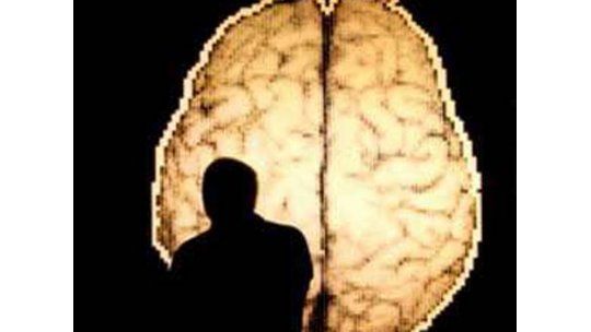 Ejercicio físico y la computadora son buenos para la memoria