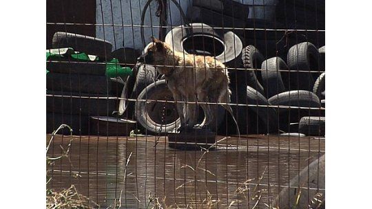 Hay 870 evacuados, 1.400 clientes sin luz y 19 rutas cortadas