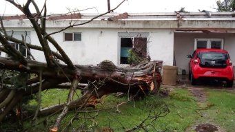 vientos de mas de 100 km/h dejaron voladura de techos y caida de arboles en young y san javier