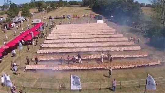 Record Guinness pollos