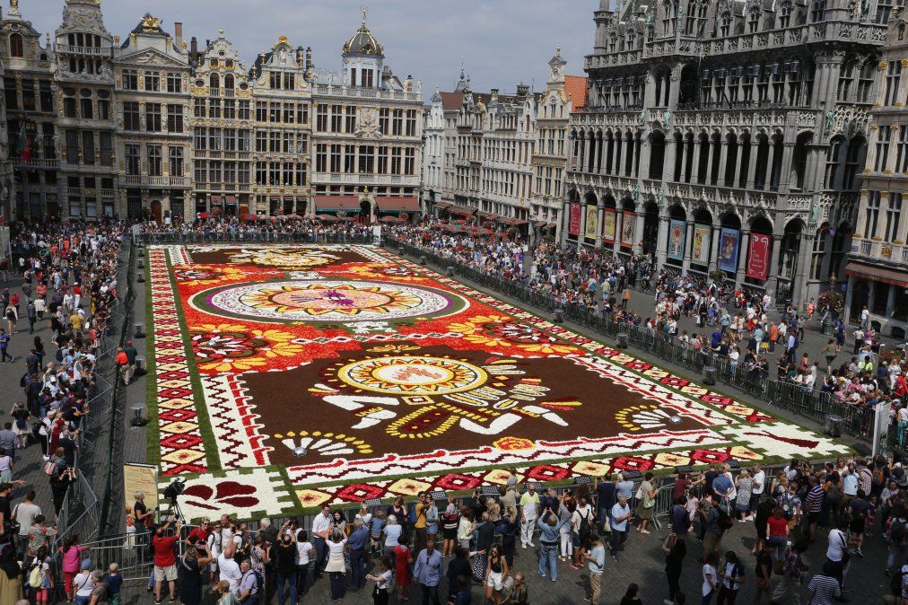 Se instaló la alfombra floral en la Grand Place, la plaza central de la ciudad de Bruselas.
