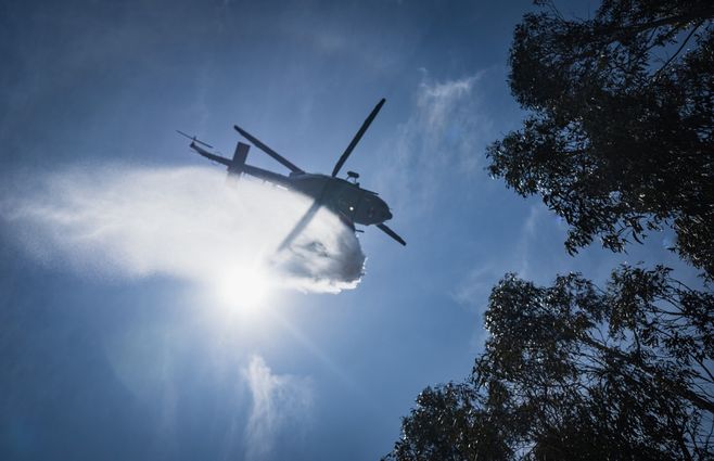 INCENDIO CERRO DEL TORO FOCO UY (1).jpeg