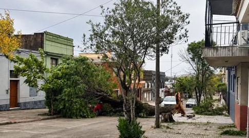 El viento causó destrozos en Rivera, con voladura de techos y caída de árboles y columnas del tendido eléctrico