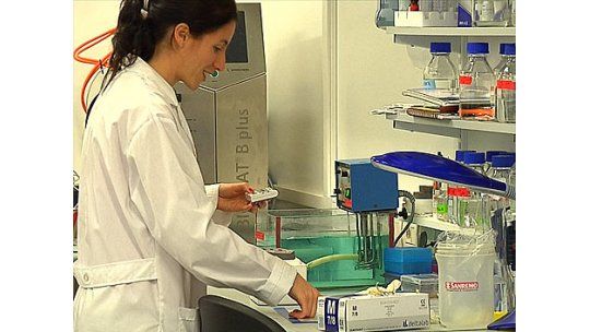 Científicos estudian genética del cáncer en el Instituto Pasteur