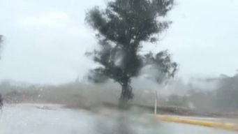 alerta amarilla de meteorologia por tormentas fuertes y lluvias intensas para el norte del pais