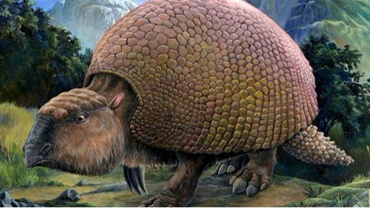 gliptodonte 3