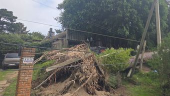 nos pego fuerte, dijo el intendente francisco legnani sobre el impacto del temporal en canelones