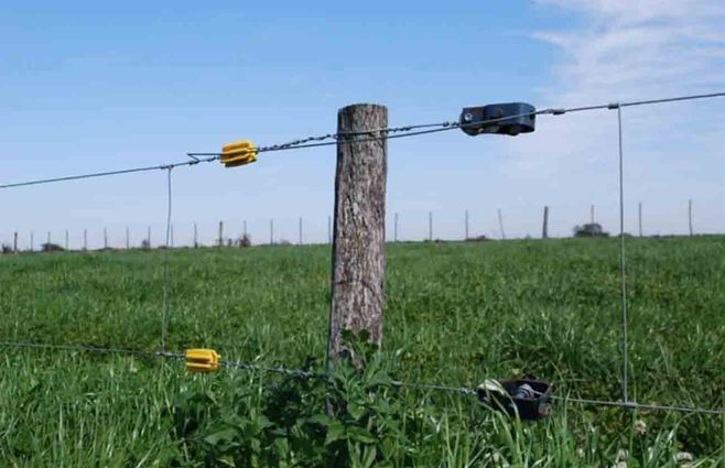 Revocan el fallo para el dueño del campo donde murió un adolescente electrocutado