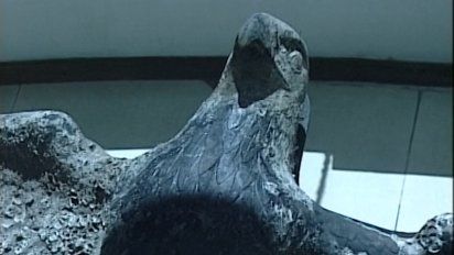 la justicia obligo al ministerio de defensa a vender el aguila nazi del graf spee