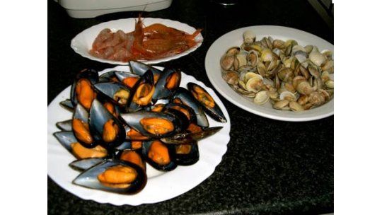 Prohíben extracción y venta de mejillones y almejas en Rocha