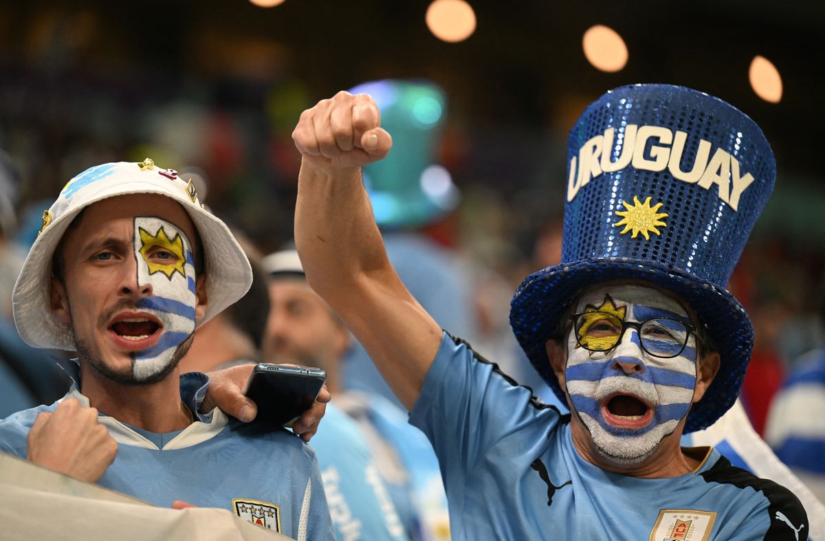 Hincha interrumpió el Portugal vs. Uruguay