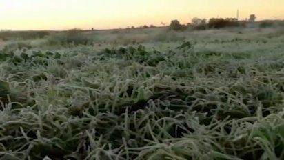 comienzo de semana con temperaturas minimas de hasta -1º