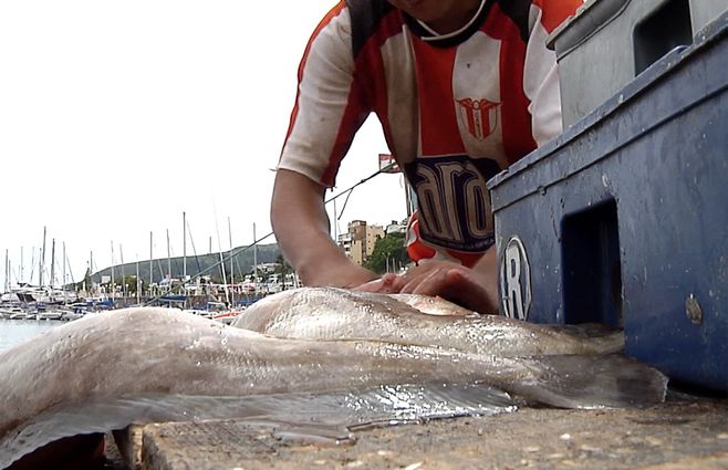 pesca-pescado-pescadores-uruguay.jpg