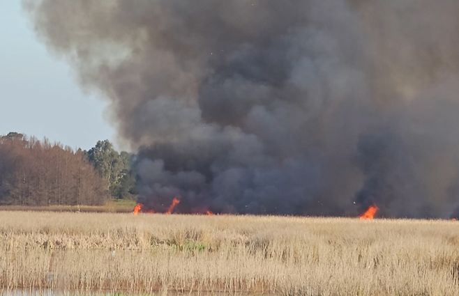 incendio-laguna-del-diario-chanco-figueredo.jpg