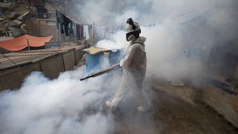 dengue causa al menos 35 muertes en centroamerica en 2024, segun autoridades de la salud