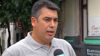 humoristas los rolin presentan el bosque de las fabulas