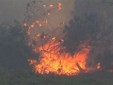 Incendio en Rocha lleva consumidas 100 hectáreas