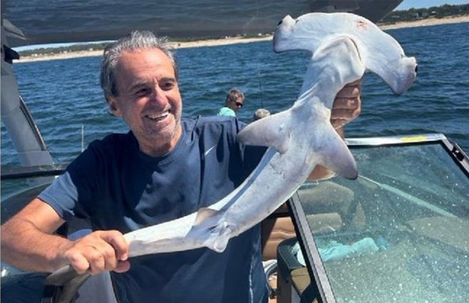 monzeglio-tiburon-martillo