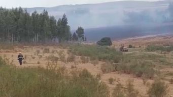 incendio de campo afecta de 15 a 20 hectareas proximo a laguna del sauce