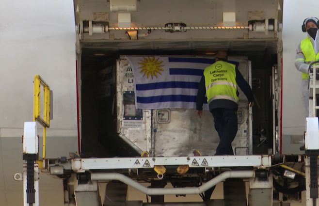 Vacunas de Estados Unidos podrían llegar a Uruguay en breve.